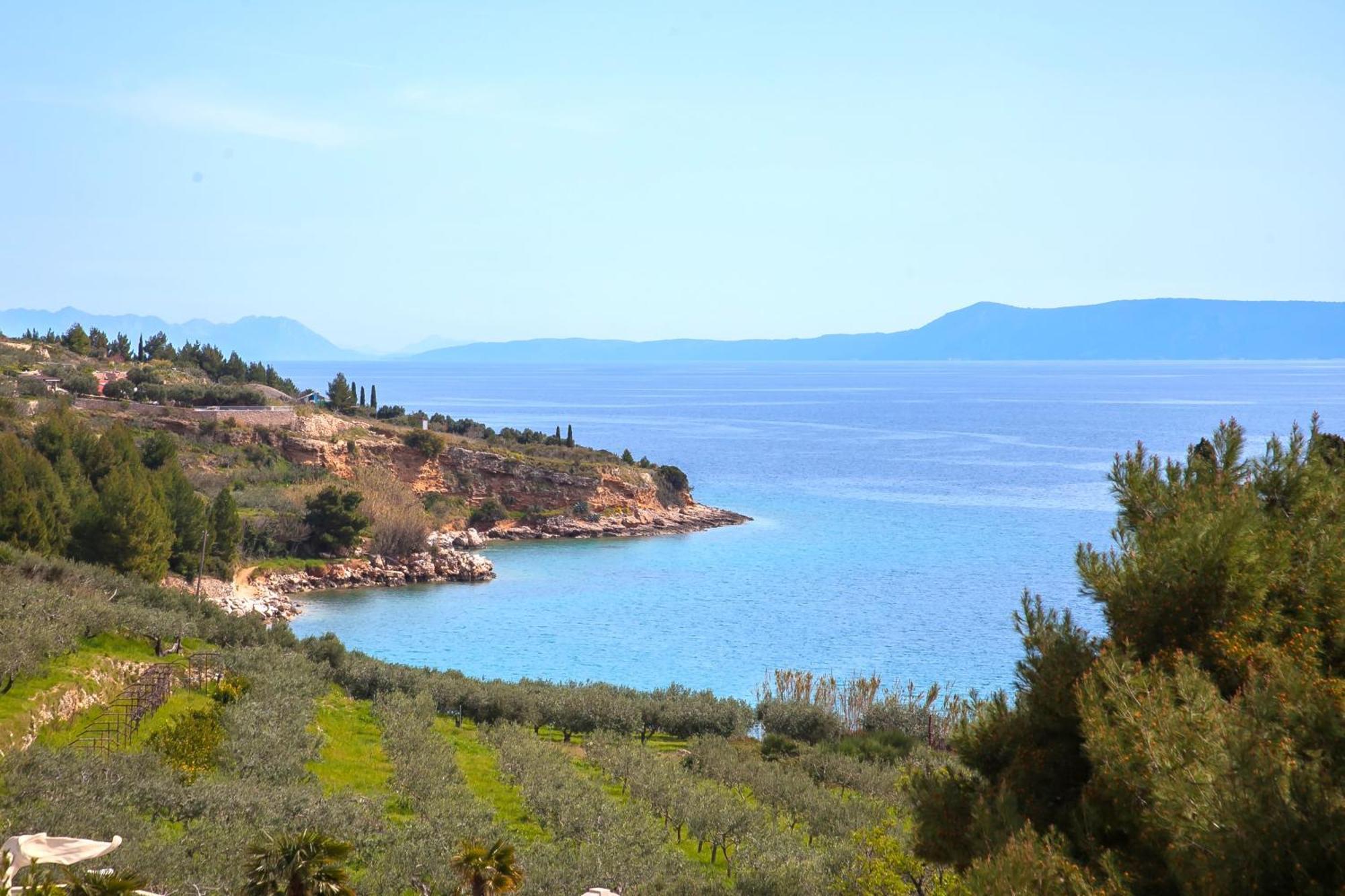 Helvetia Sunny Apartments Bol Dış mekan fotoğraf